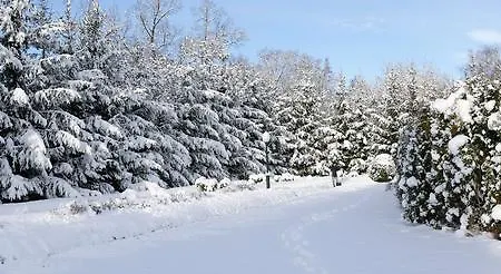 Bergamotka Nocleg ze śniadaniem Konstancin-Jeziorna
