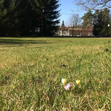 Bergamotka Nocleg ze śniadaniem Konstancin-Jeziorna