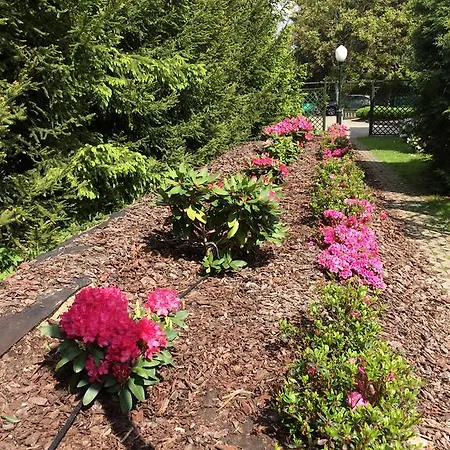 Nocleg ze śniadaniem Bergamotka Konstancin-Jeziorna