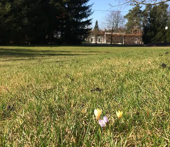 Bergamotka Bed & Breakfast Konstancin-Jeziorna